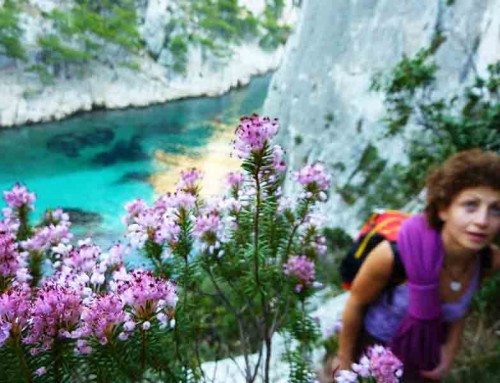 France Winter Climbing Course_4