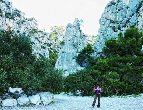 France Winter Climbing Course_5